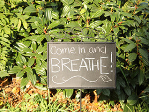 Come in and Breathe